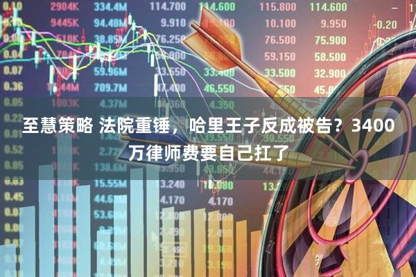 至慧策略 法院重锤，哈里王子反成被告？3400万律师费要自己扛了